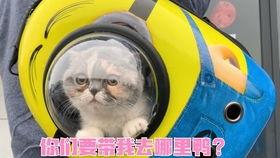 国产超级大香蕉,揭秘我国农业科技新成果